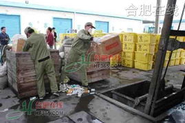 過期藥品化為一縷青煙 記者吳山固體廢物處置中心親歷銷毀全過程