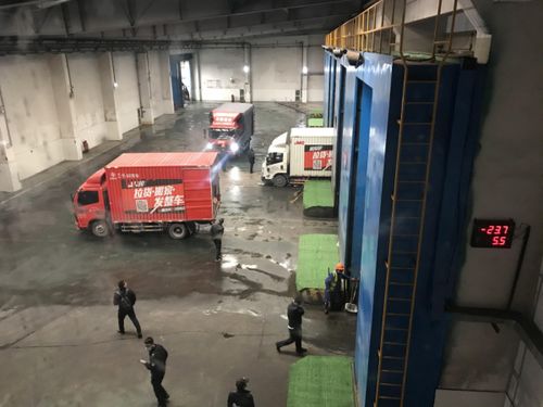 重拳 出擊打假煙 溫州集中銷毀27.5萬余條假私煙