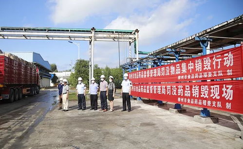 柳州市食品藥品稽查支隊集中銷毀 一批不合格罰沒食品藥品