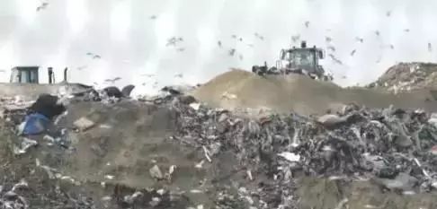 資訊 | 賣不掉也不捐!亞馬遜銷毀大量滯銷商品