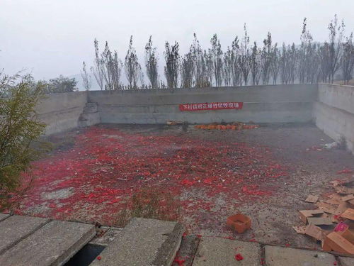 深夜緊急救援 晉城兒童中毒與男子被困銷毀中心事件紀實