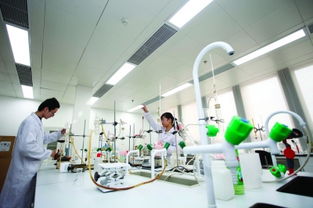 數(shù)說(shuō)金陵舌尖事 食品抽檢總關(guān)情，銷(xiāo)毀中心保安全